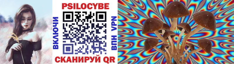 Псилоцибиновые грибы Psilocybe  закладка  Юрюзань 